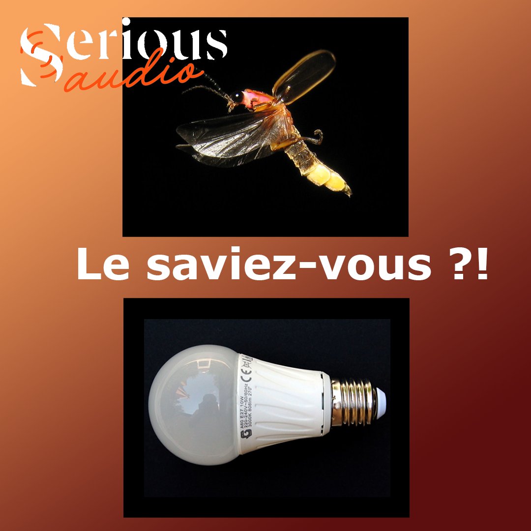 AudioSerious's tweet photo. En s'inspirant de l'abdomen des lucioles, des chercheurs ont réussi à augmenter la luminosité des ampoules LED! 

+ d'infos : @consoglobe
https://t.co/GwHtfLAB1d

👉 Vous aimez le biomimétisme? allez écouter Détox Cérébrale par @idrissaberkane : https://t.co/jFbfH9I2vQ https://t.co/oHUqDqoDib