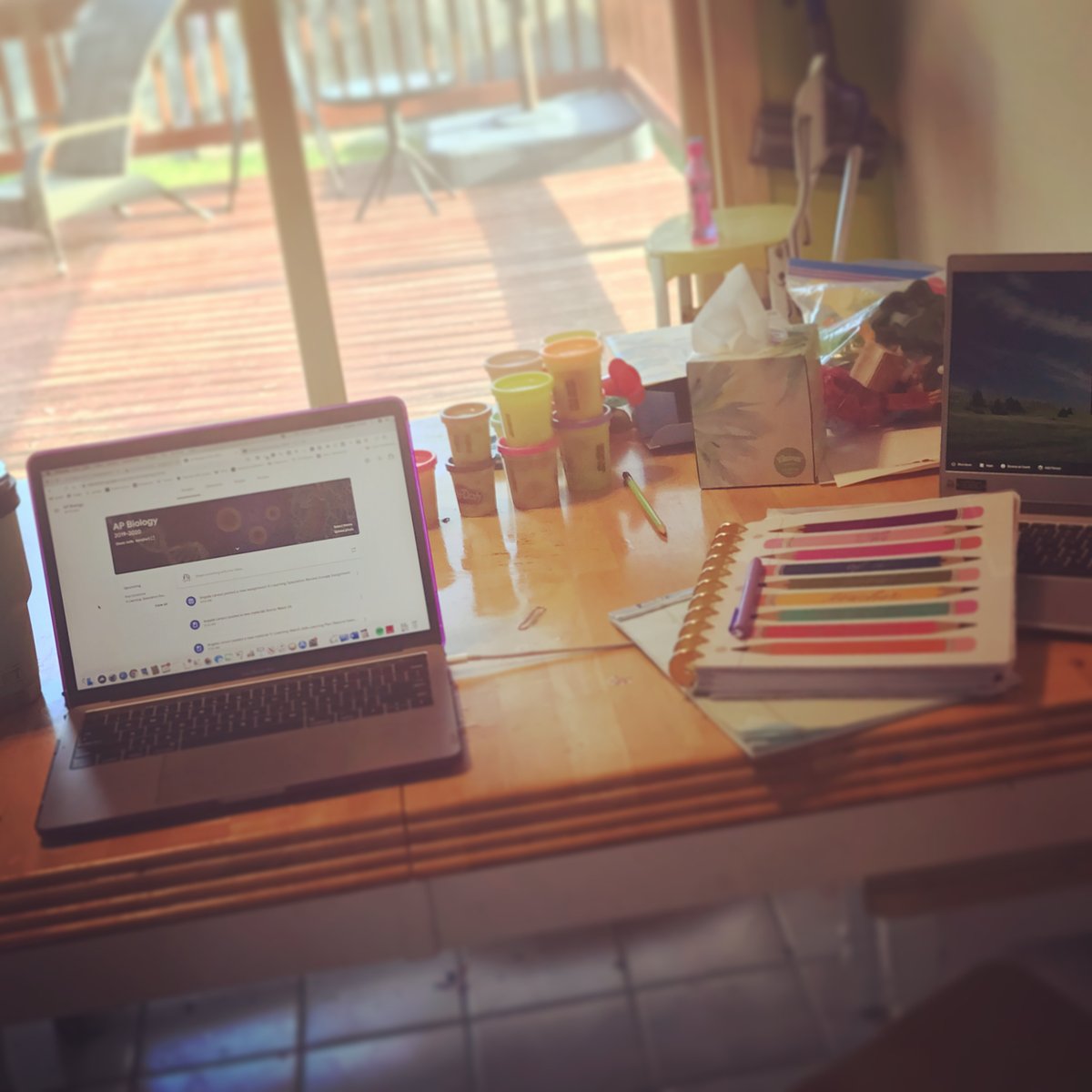 Science_Larson's tweet photo. On Mondays, my AP Bio students and I begin class with a "circle up" to reconnect after the weekend. So any and all Bulldogs, on this first day of E-Learning, let's show our E-Learning workspaces. Here's mine! #ThisIsHowWeAP #APBio_WHS #BulldogLife_WHS https://t.co/59oOCJx913