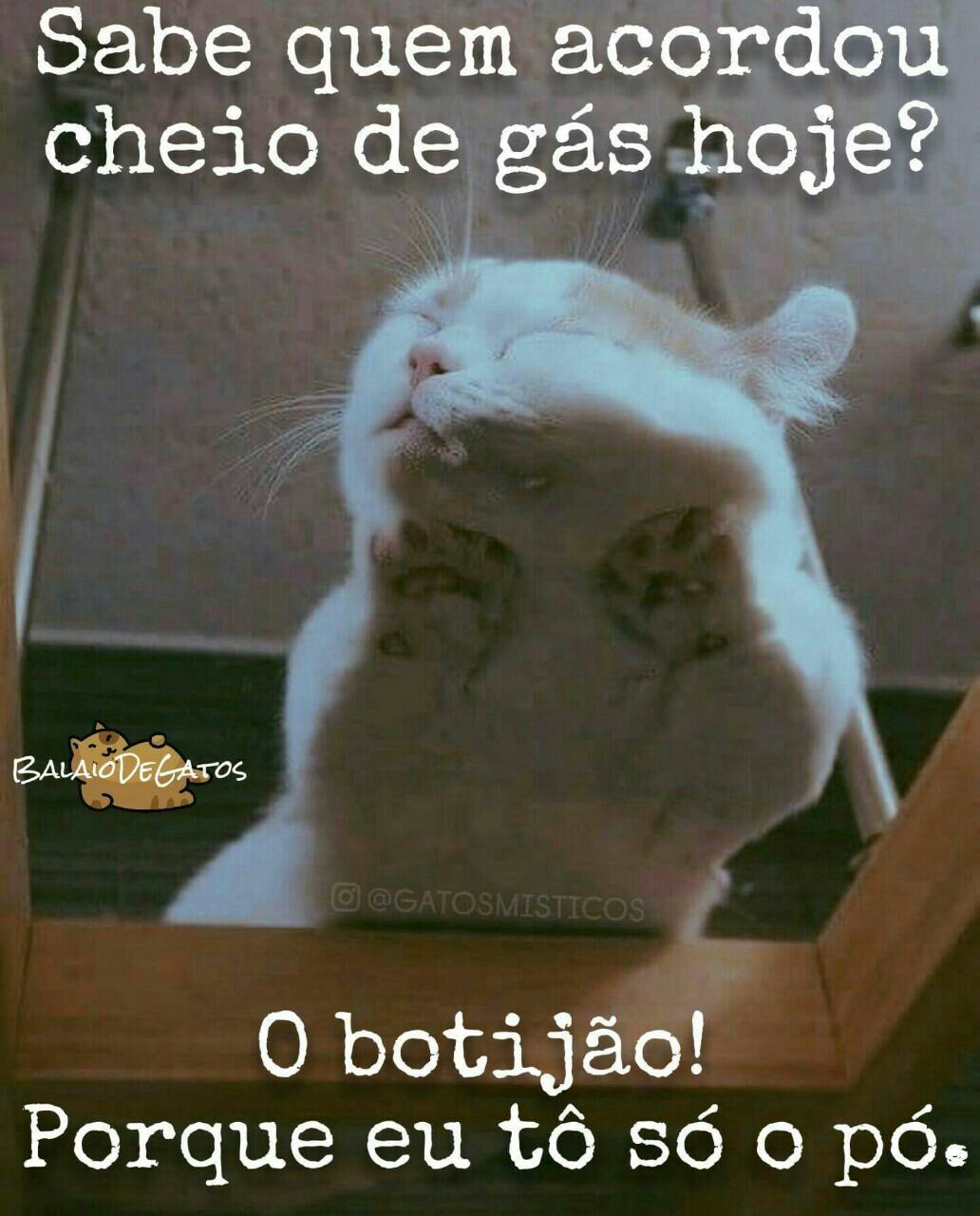 تويتر \ Nair Bello على تويتر: تويتر \ Nair Bello على تويتر: