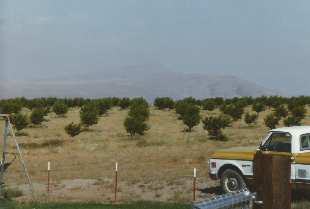 The Red Mountain Time Machine — 1988 redmountaintrails.com/2020/03/30/the…