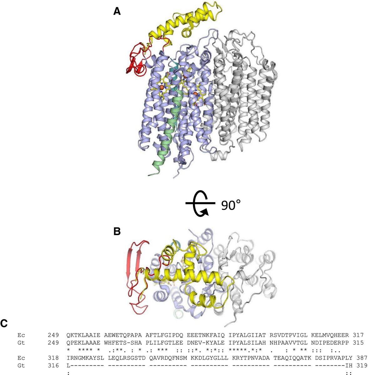 FEBS_Letters's tweet photo. The long Q-loop of #Escherichia coli #cytochrome bd #oxidase is required for assembly and structural integrity →https://t.co/GJpdB3V67O #respiratorychain #Ecoli https://t.co/EsnWvRyHI7