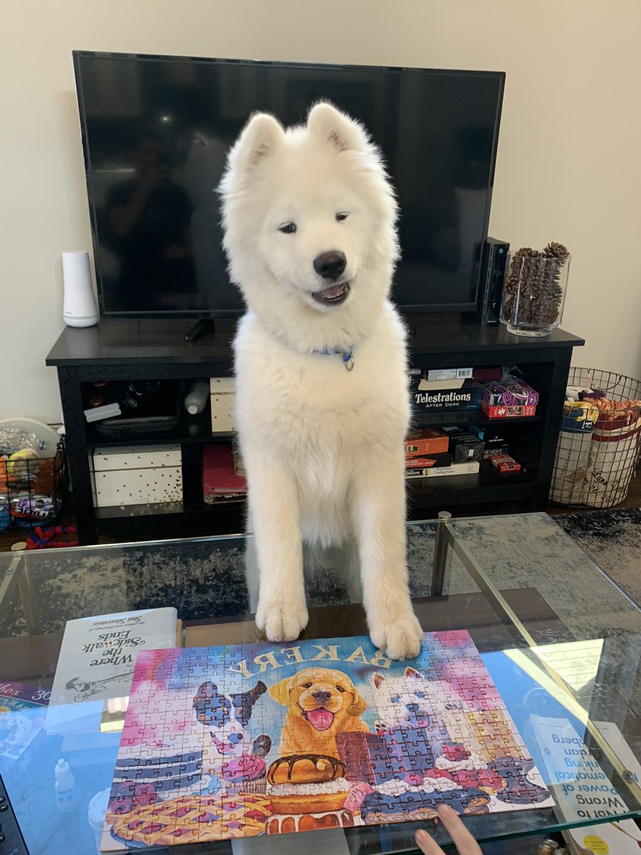 LeonVanSam's tweet photo. This puzzle thing? Ya it’s nbd, took me like 30 seconds. #rarepupper #TheLockdown https://t.co/kl6LQ4XpyK