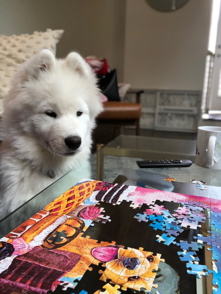 LeonVanSam's tweet photo. This puzzle thing? Ya it’s nbd, took me like 30 seconds. #rarepupper #TheLockdown https://t.co/kl6LQ4XpyK
