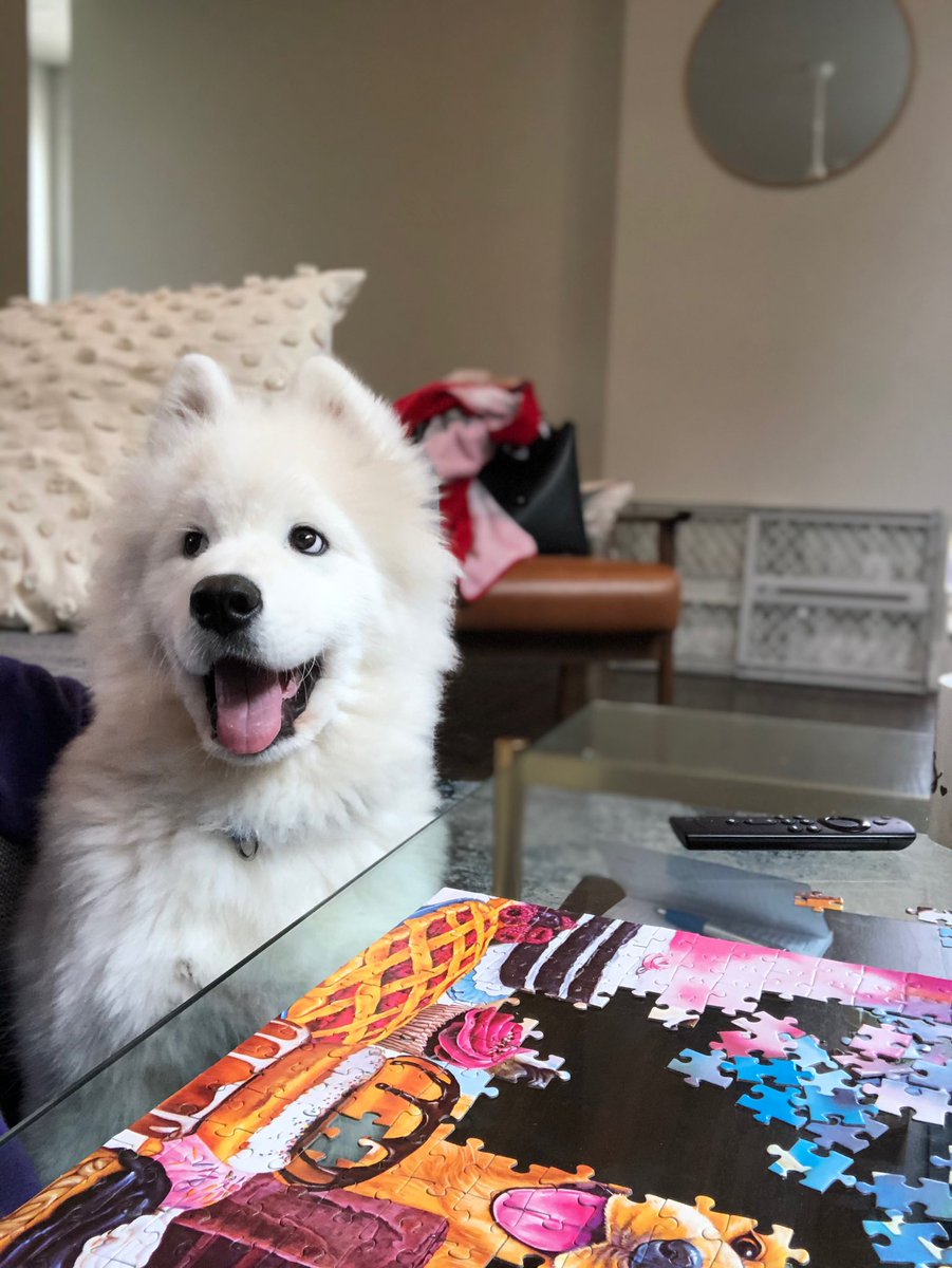 LeonVanSam's tweet photo. This puzzle thing? Ya it’s nbd, took me like 30 seconds. #rarepupper #TheLockdown https://t.co/kl6LQ4XpyK
