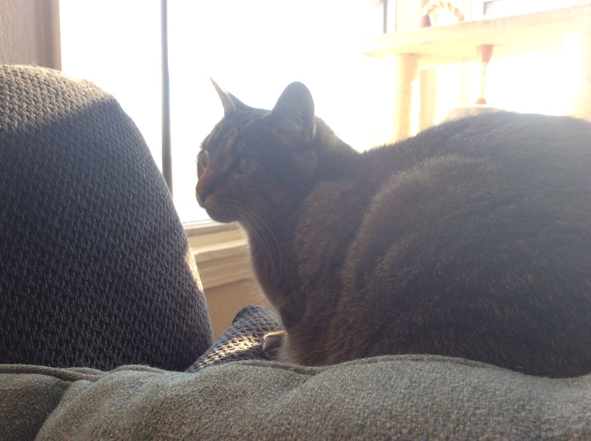 Good morning OG Family. My coteacher is hard at work studying birds. He tells me it’s for their music, but I’m not so sure...