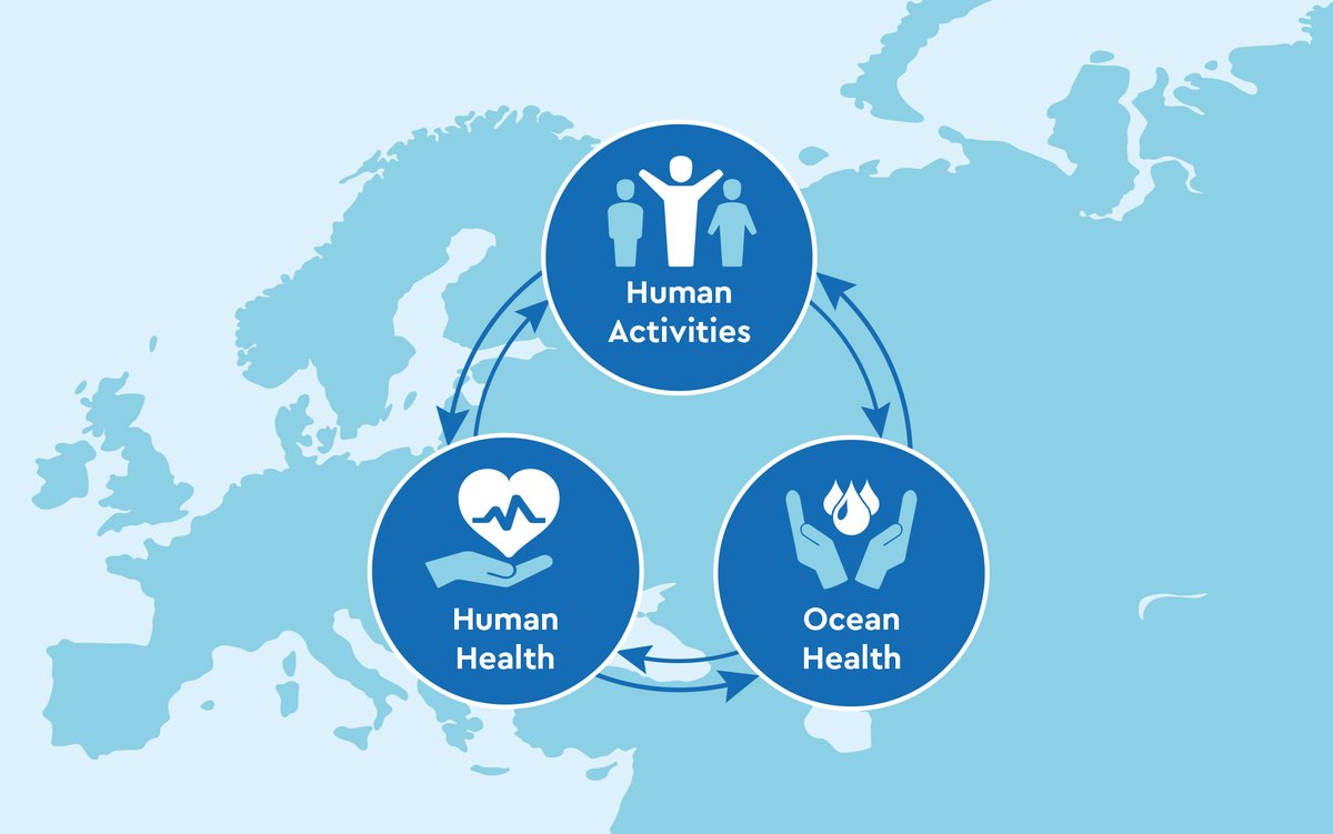The SOPHIE project <a href="/OceansHealthEU/">SOPHIE Project</a> Strategic Research Agenda for #oceans and #human #health in #Europe  #SOPHIESRA is launched and available online! You can find it online at: sophie2020.eu/strategic-rese… #OHH #seafood #biodiversity #biotechnology #marine #bluespace #sustainability