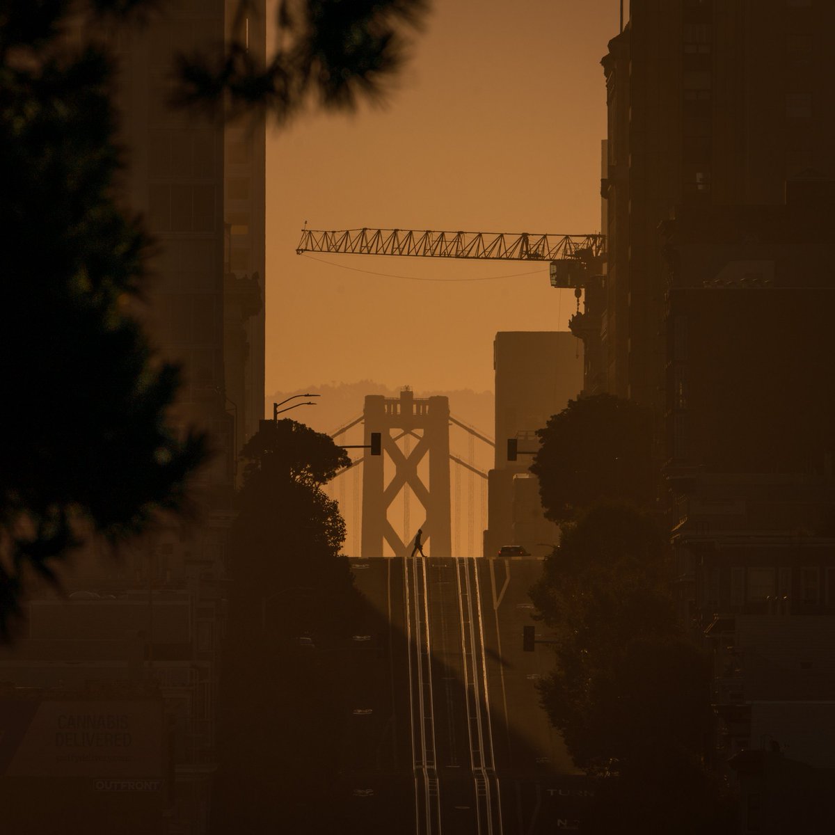 Ramon_Britoo's tweet image. Street photography in new York City and San Francisco with the Sony 100-400 GM.
#STREETPHOTOGRAPHY #STREETSESSION #LENSREVIEW #SONY100400GM #NewYork
#sanfransisco
.
youtu.be/pJ32NWEWW28