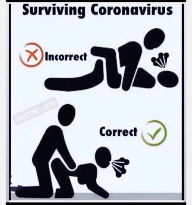 Surviving Coronavirus! 😄 Retweet if you agree! #surviving #survivingcovid19 #survivingcoronavirus #coronavirus<a href="/tag/lol"class="tags"><span>#lol</span></a><a href="/tag/funny"class="tags"><span>#funny</span></a><a href="/tag/tryit"class="tags"><span>#tryit</span></a><a href="/tag/surviving"class="tags"><span>#surviving</span></a><a href="/tag/retweetthis"class="tags"><span>#retweetthis</span></a><a href="/tag/mademelaugh"class="tags"><span>#mademelaugh</span></a>