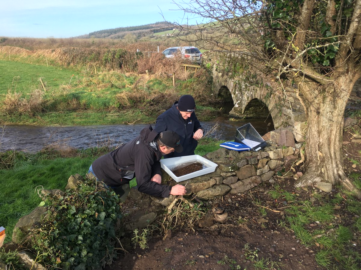 CathalSomers's tweet photo. ASSAP - catchment scientist from the @WatersProgramme carrying out a kick sample in the Glenaboy PAA (Waterford) back in February. ASSAP advisers looking on, looking forward to working with farmers in the area #farmingforwaterquality. @teagasc @TeagascEnviron @DairySusIreland https://t.co/RZTCVOSdyD