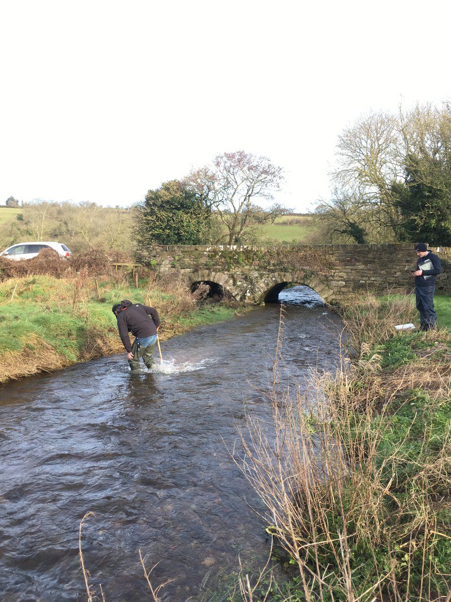 CathalSomers's tweet photo. ASSAP - catchment scientist from the @WatersProgramme carrying out a kick sample in the Glenaboy PAA (Waterford) back in February. ASSAP advisers looking on, looking forward to working with farmers in the area #farmingforwaterquality. @teagasc @TeagascEnviron @DairySusIreland https://t.co/RZTCVOSdyD