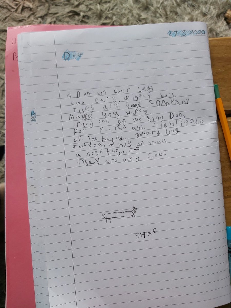 max31uk's tweet image. Shae doing some learning at home @Monnow_Primary #dosbarthopal