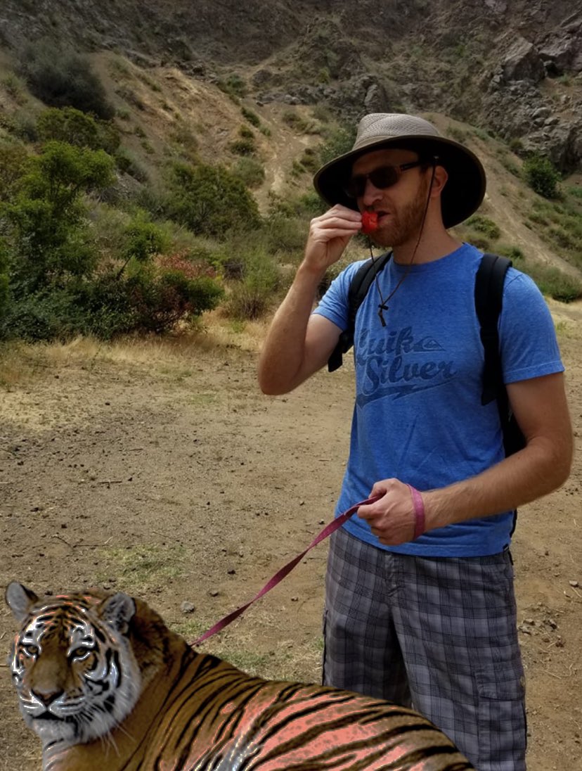 Mylo the Cat tweet media