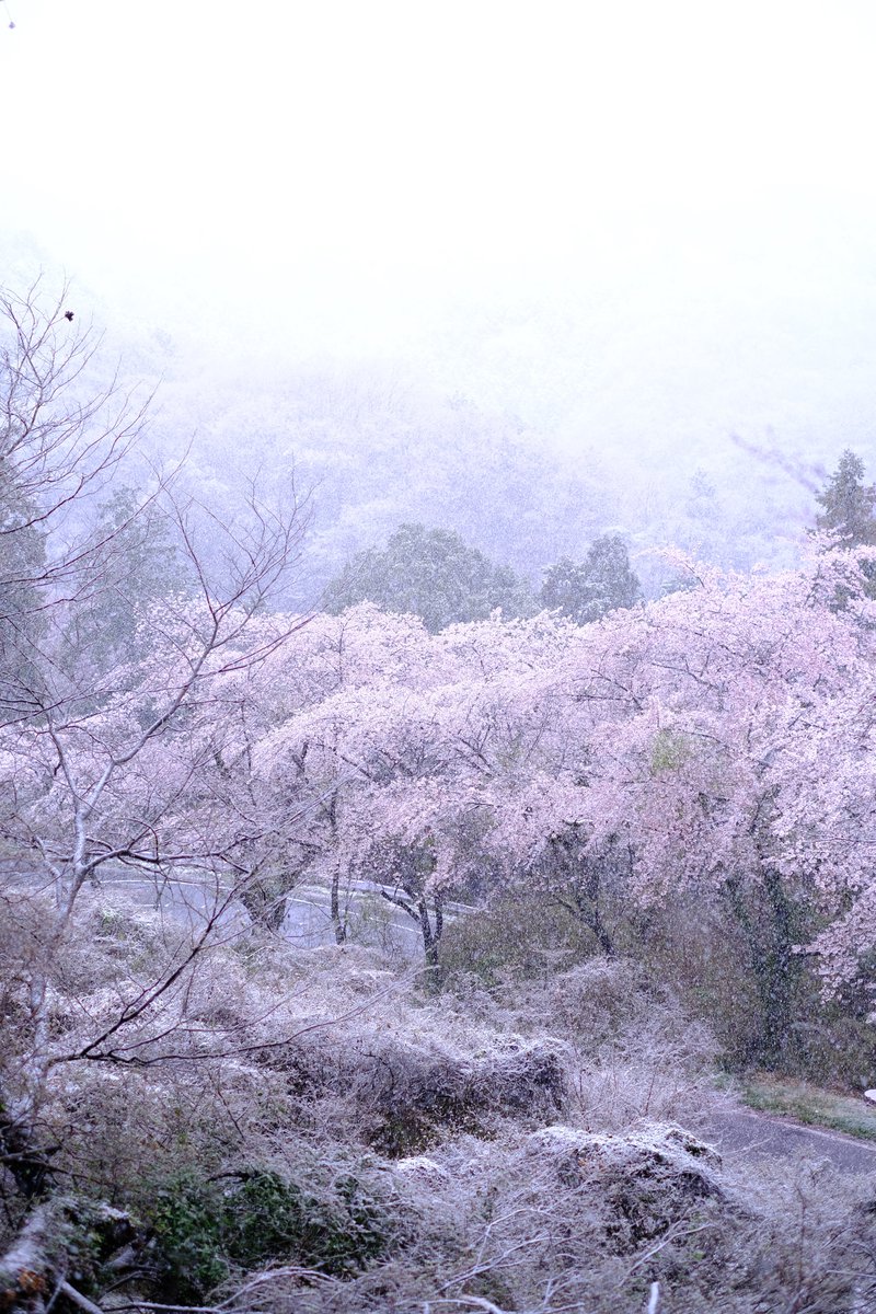 大平山 大平山