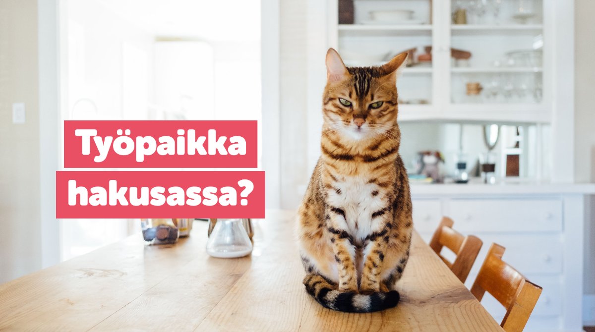 Tiitusapp's tweet image. Työpaikka hakusassa? Katso paikat netistä tai Tiitus-sovelluksesta 🔎 secure.tiitus.fi/#/market/searc… #työpaikat