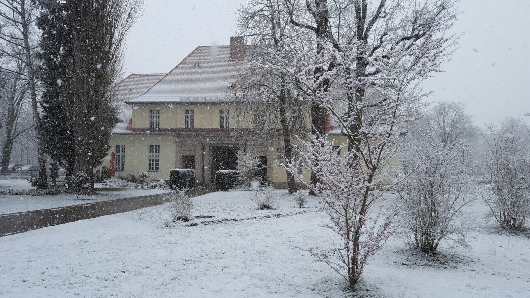 campusbuch's tweet photo. #winter2020 Jetzt kam er doch noch: #Schnee auf dem #Campus Berlin-Buch. https://t.co/RY6pqY5EyI