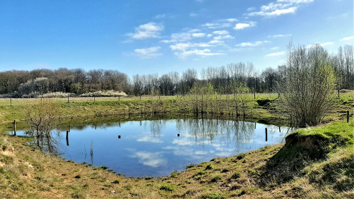 inja5248's tweet photo. vanochtend saampjes van thuis uit 'n mooie wandeling gemaakt naar en door de #Doort spoorkant via #Slek terug
#genoten https://t.co/n6LsqSO7aV