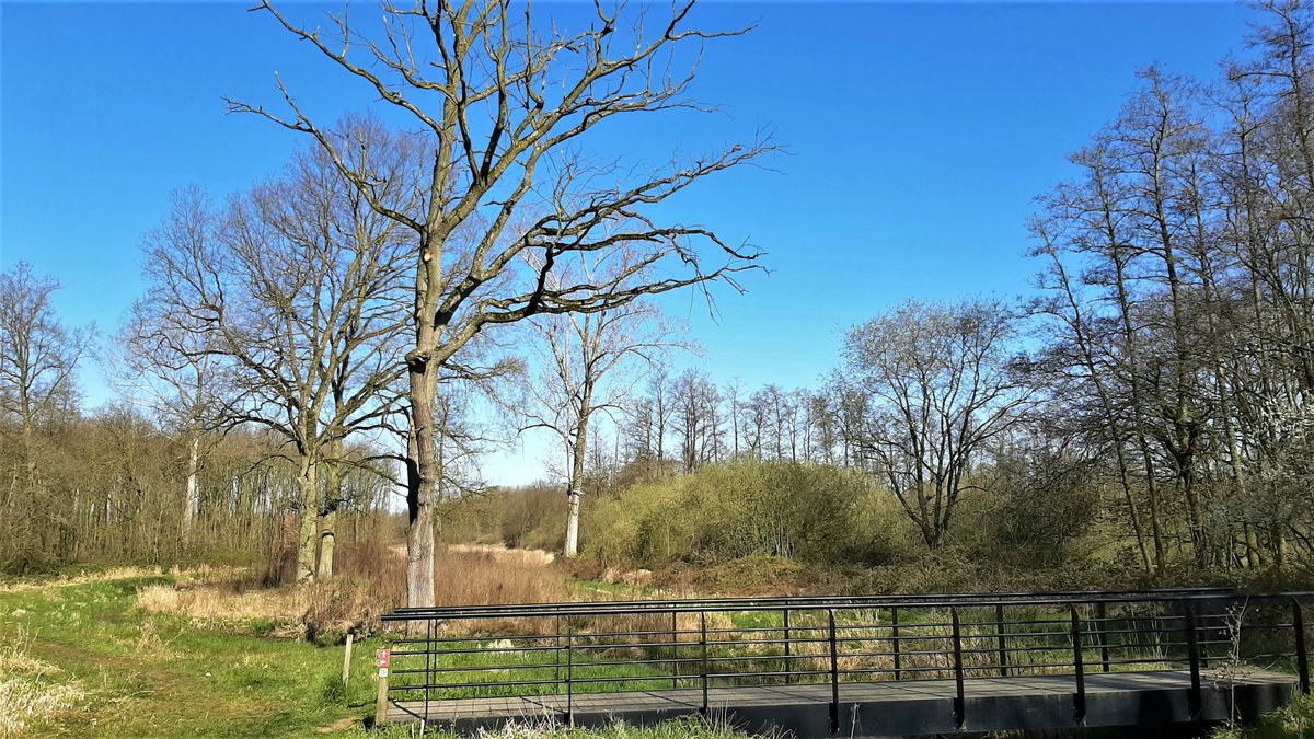 inja5248's tweet photo. vanochtend saampjes van thuis uit 'n mooie wandeling gemaakt naar en door de #Doort spoorkant via #Slek terug
#genoten https://t.co/n6LsqSO7aV