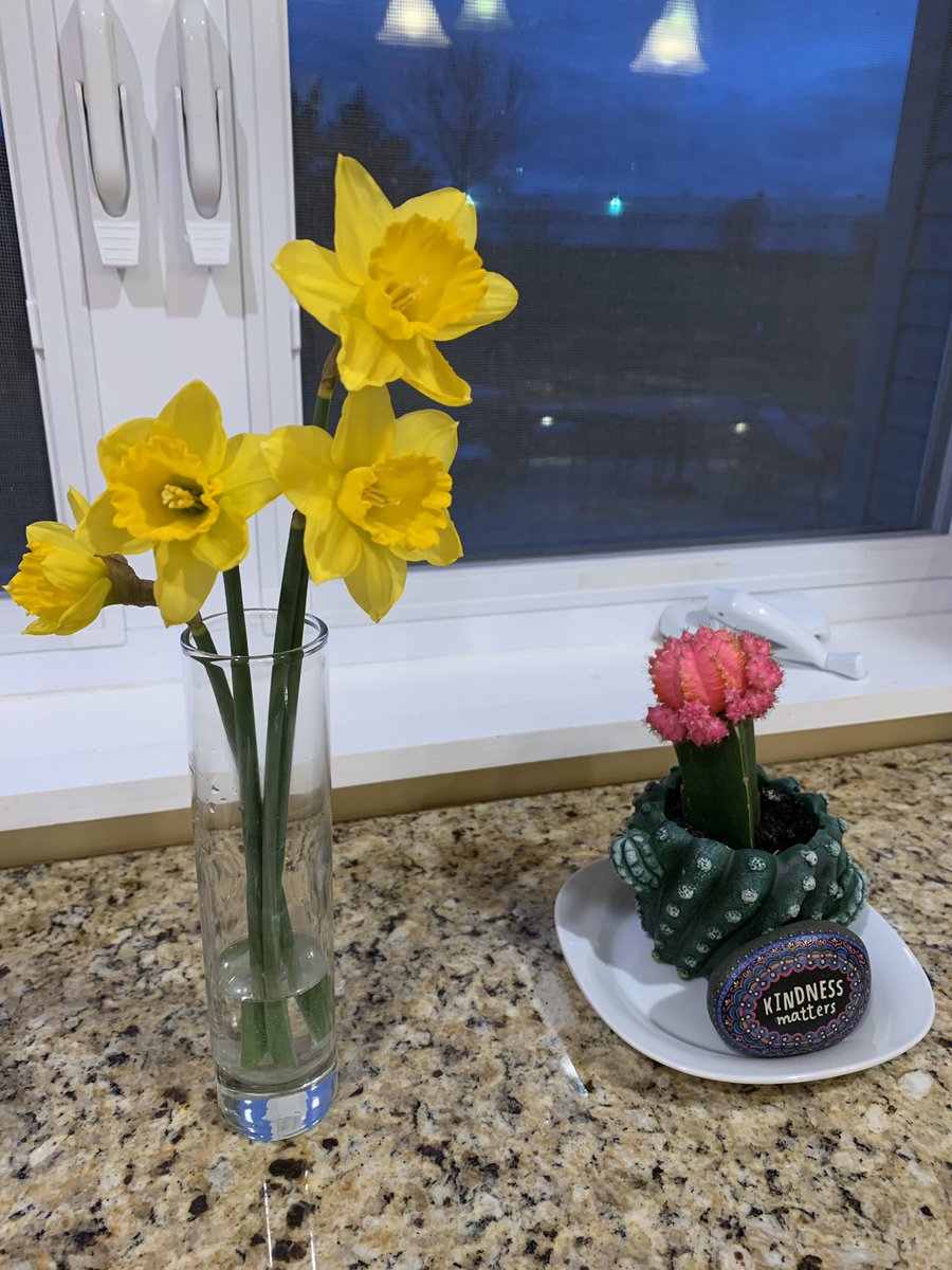 Magnet Class Kids tweet media