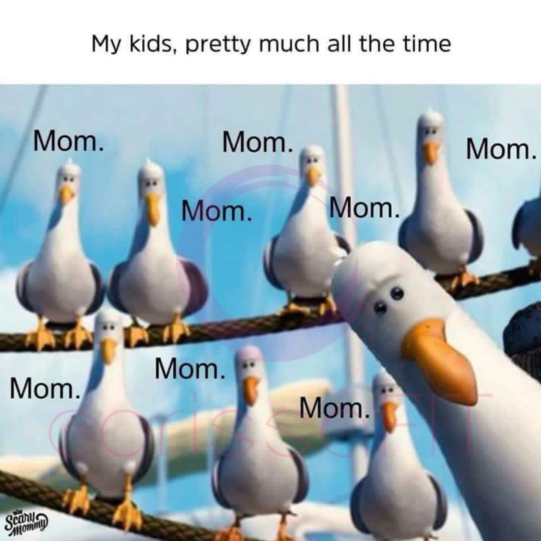 CorissaFit's tweet photo. 👱 👩 👱 👦  How many children do you have? Boys? Girls?
.
.
.
#mommemes #mondaymood #mondayvibes #parentingmemes #parenthood #momlife #mompreneur #momofboys #boymom #momofgirls #girlmom #funnymemes #laughingisgoodforthesoul #findingnemo #findingmom #mommommom https://t.co/ldioJIiLgQ