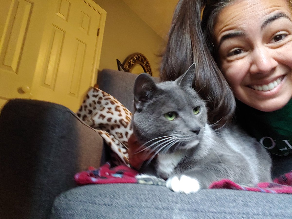 sweetmac11's tweet photo. @LaurelParkMS Mrs.Hodges and her pets say hey!! 👋
Cameron is the black lab mix. Diva is the terrier. The cat is Rascal. The smaller bearded dragon is named Leo and the larger one is Norbert.🐶🐱🦎 https://t.co/tPZddn3dBX