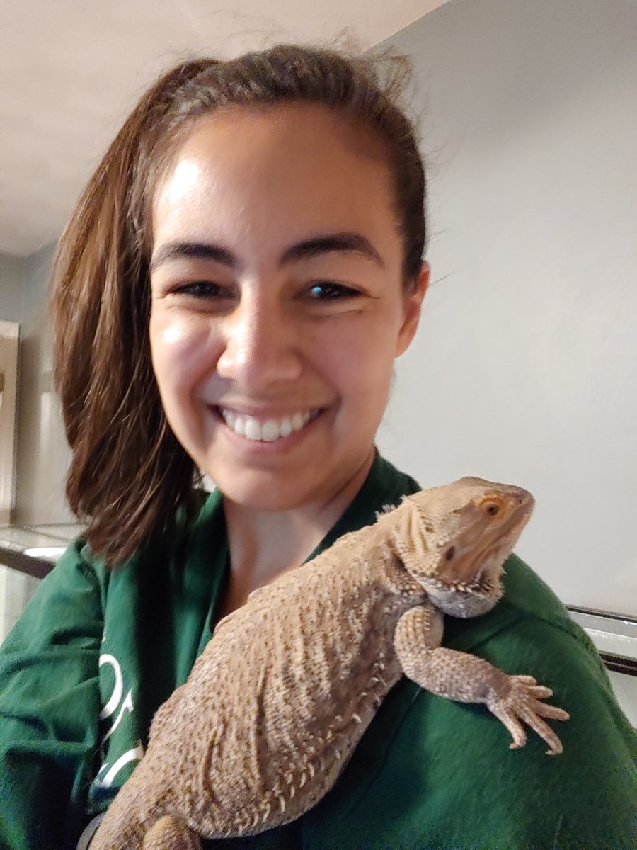 sweetmac11's tweet photo. @LaurelParkMS Mrs.Hodges and her pets say hey!! 👋
Cameron is the black lab mix. Diva is the terrier. The cat is Rascal. The smaller bearded dragon is named Leo and the larger one is Norbert.🐶🐱🦎 https://t.co/tPZddn3dBX