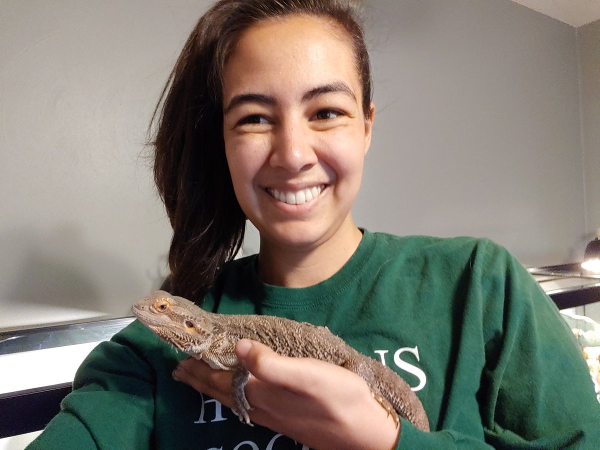 sweetmac11's tweet photo. @LaurelParkMS Mrs.Hodges and her pets say hey!! 👋
Cameron is the black lab mix. Diva is the terrier. The cat is Rascal. The smaller bearded dragon is named Leo and the larger one is Norbert.🐶🐱🦎 https://t.co/tPZddn3dBX