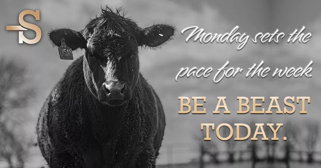 FarmInspiration tweet picture