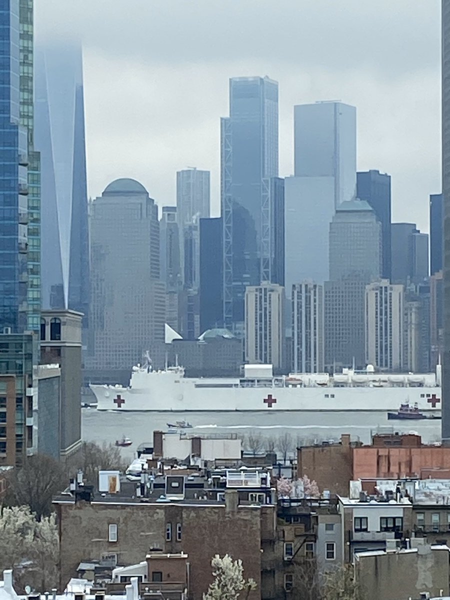 Steve Lacy tweet media