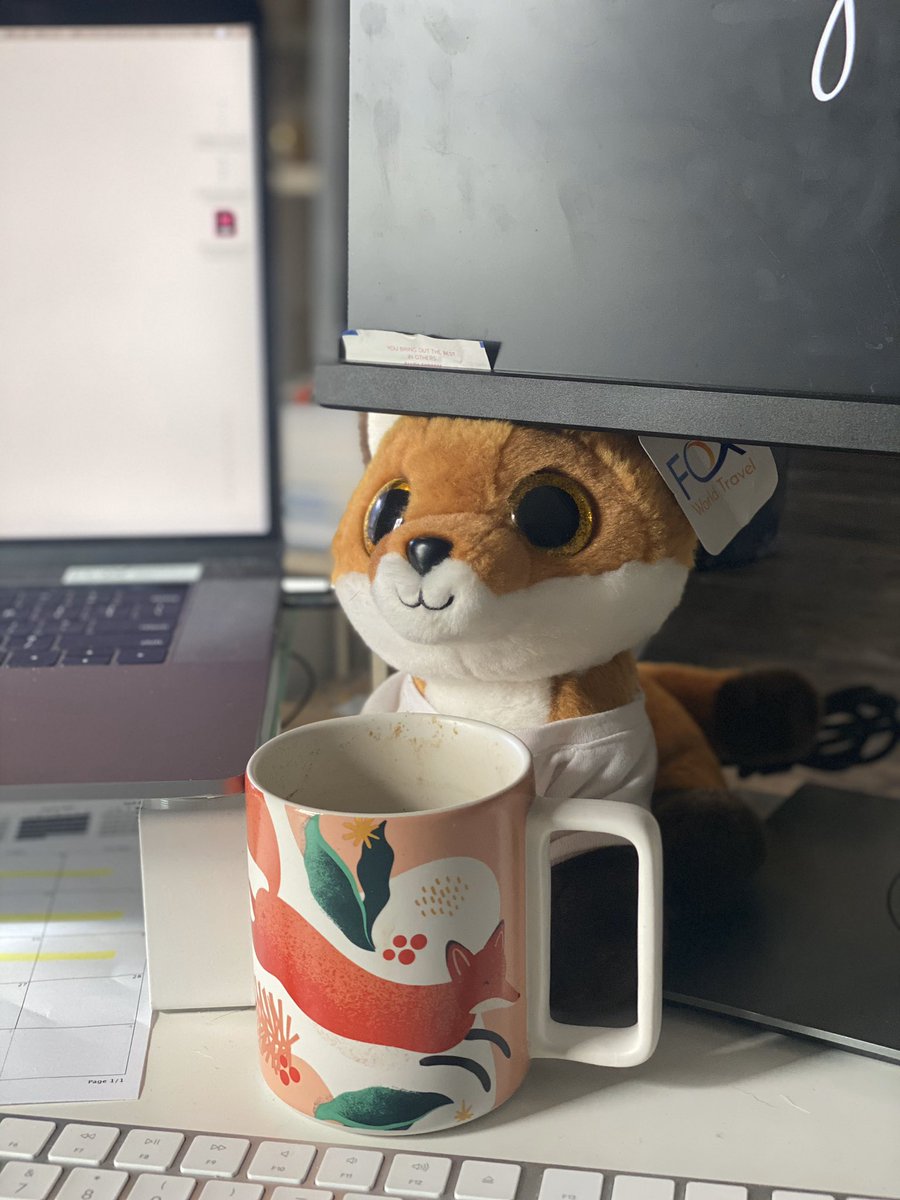 kati_626's tweet image. Keeping good company while I work from home through these crazy times! #scout #foxworldtravel #WorkFromHome