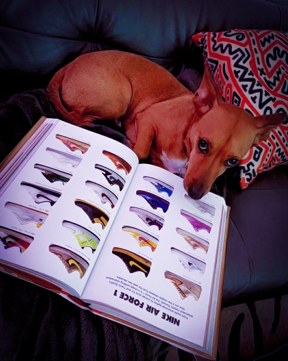 MsJamesCrew's tweet photo. Received picture mail from my pup-nephew this morning!!
He’s still a baby boy, and learning how to read.. but he didn’t want to be left out of #EagleConnection.
I also think my brother has picked out the reading selection 🤦🏽♀️
#DukeJames #EaglesSoar https://t.co/3lJ4wbZoI2