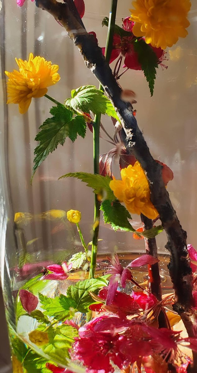 Whee Confetti 🚲 tweet media