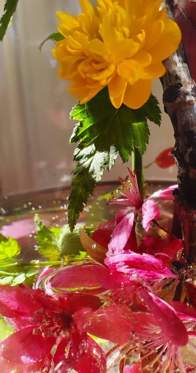 Whee Confetti 🚲 tweet media