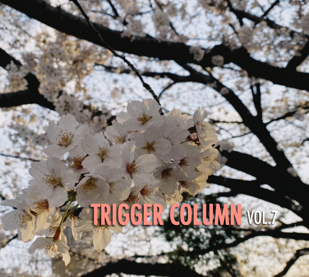 TRIGGERFES's tweet photo. 〈 TRIGGER STAFF COLUMN✏️ 〉

TRIGGER STAFF COLUMN VOL.7を更新しました❗️
今回の担当は新入生のMです🌱
「出会い」をテーマにお届けする今週のコラム💡
おうちでの暇つぶしにどうぞ😌

https://t.co/ETCVatiqOI https://t.co/ilZ2CHEiHU