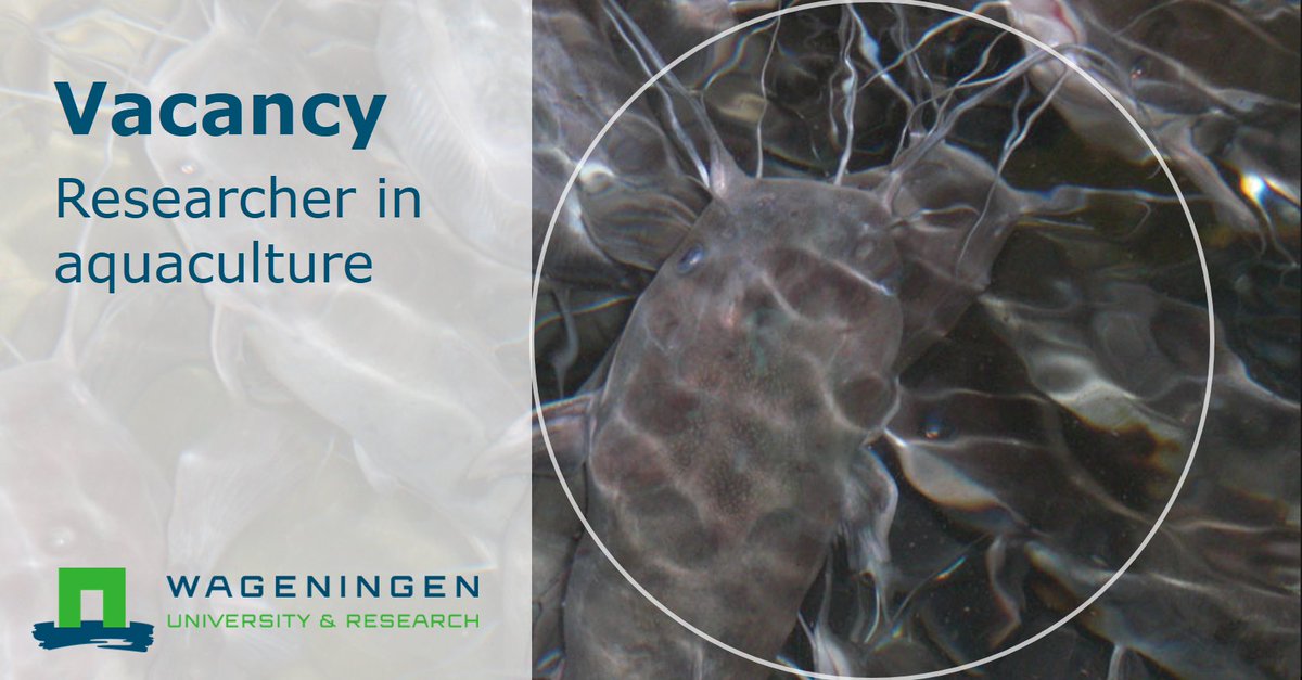 #Vacancy | We are looking for an expert in recirculating #aquaculture systems. Do you enjoy #research &amp; #teaching? Apply now and join us! ➡️bit.ly/2xCOuVD