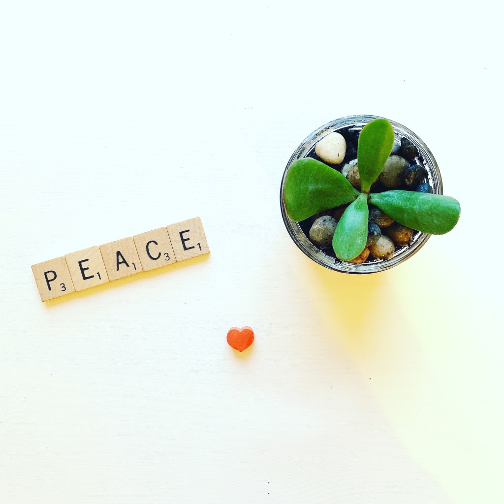 live_read_write's tweet image. Propagating Peace erikacrowl.com/propagating-pe…
