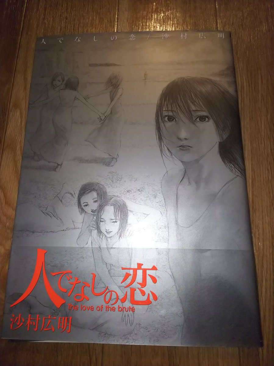 雨宮蛍 En Twitter 沙村広明さんは漫画も良いが この画集が凄まじく良い 私が死んだら棺桶に入れて欲しいレベル