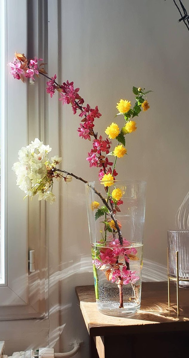 Whee Confetti 🚲 tweet media