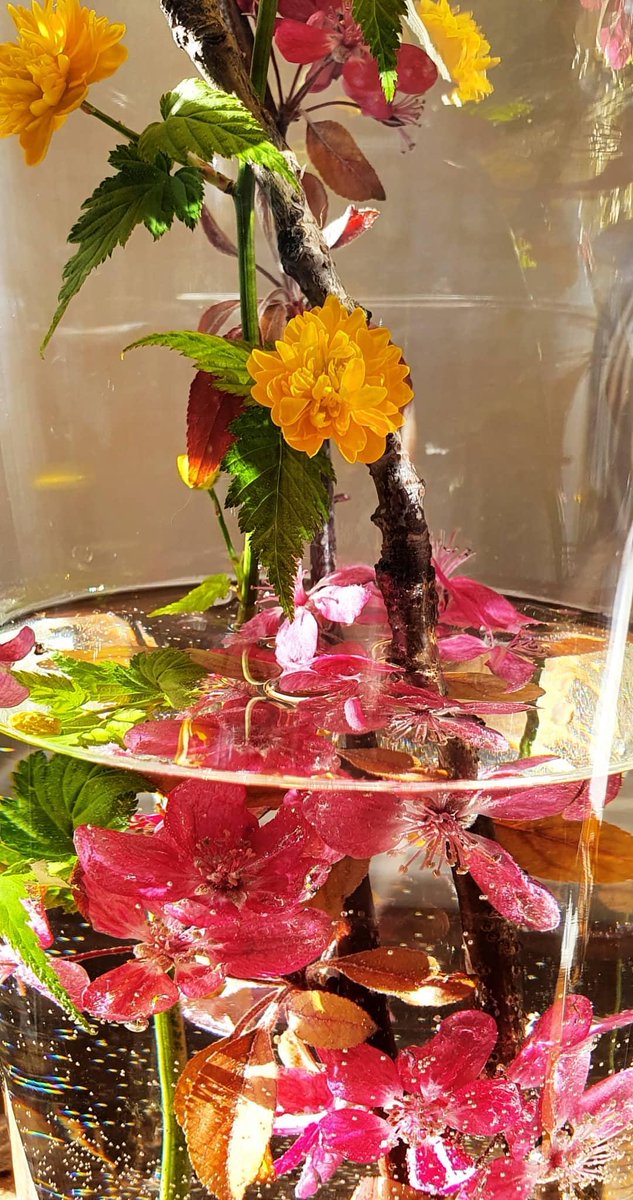 Whee Confetti 🚲 tweet media