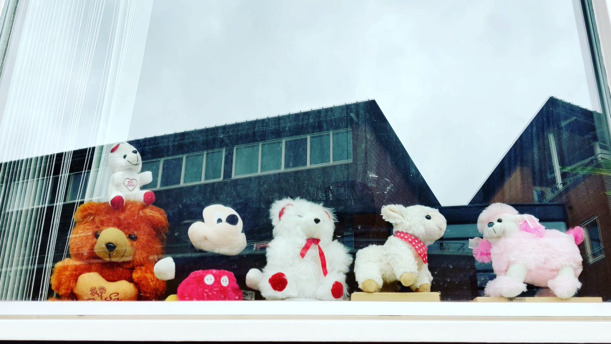 nehamathur019's tweet photo. Just bringing some smiles to my neighbors #QuarantineLife #bearhunt #bearhunt2020 #hilversum #netherland https://t.co/neitqlUR22