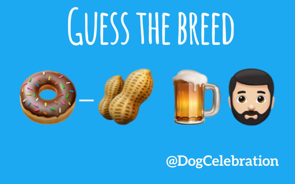 Guess the breed

🐾🐶🐾

#DogCelebration
#DogCelebrationGTB

Much harder this one

RT if you know this very tricky Guess the breed! 

🐾🐶🐾