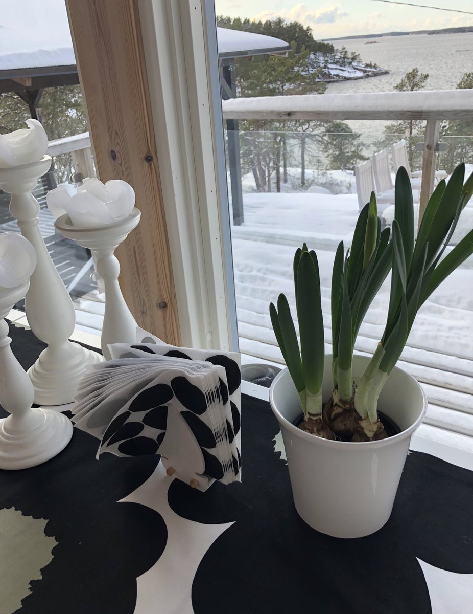 #elämänikuvina #mylifeinpictures 1/7 Kiitos <a href="/KSihvo/">Kirsi Sihvo</a> 😃 Ei sanoja, ei ihmisiä, haastan <a href="/maijusylvia/">Maiju Aalto</a>