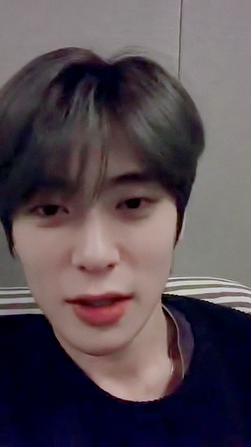 비비드 tweet media