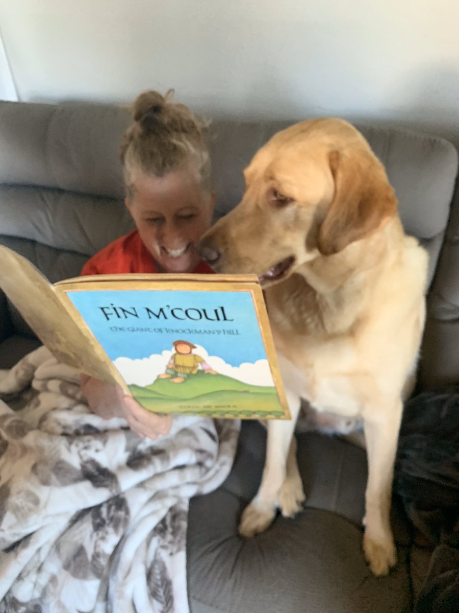 pam seekford tweet media