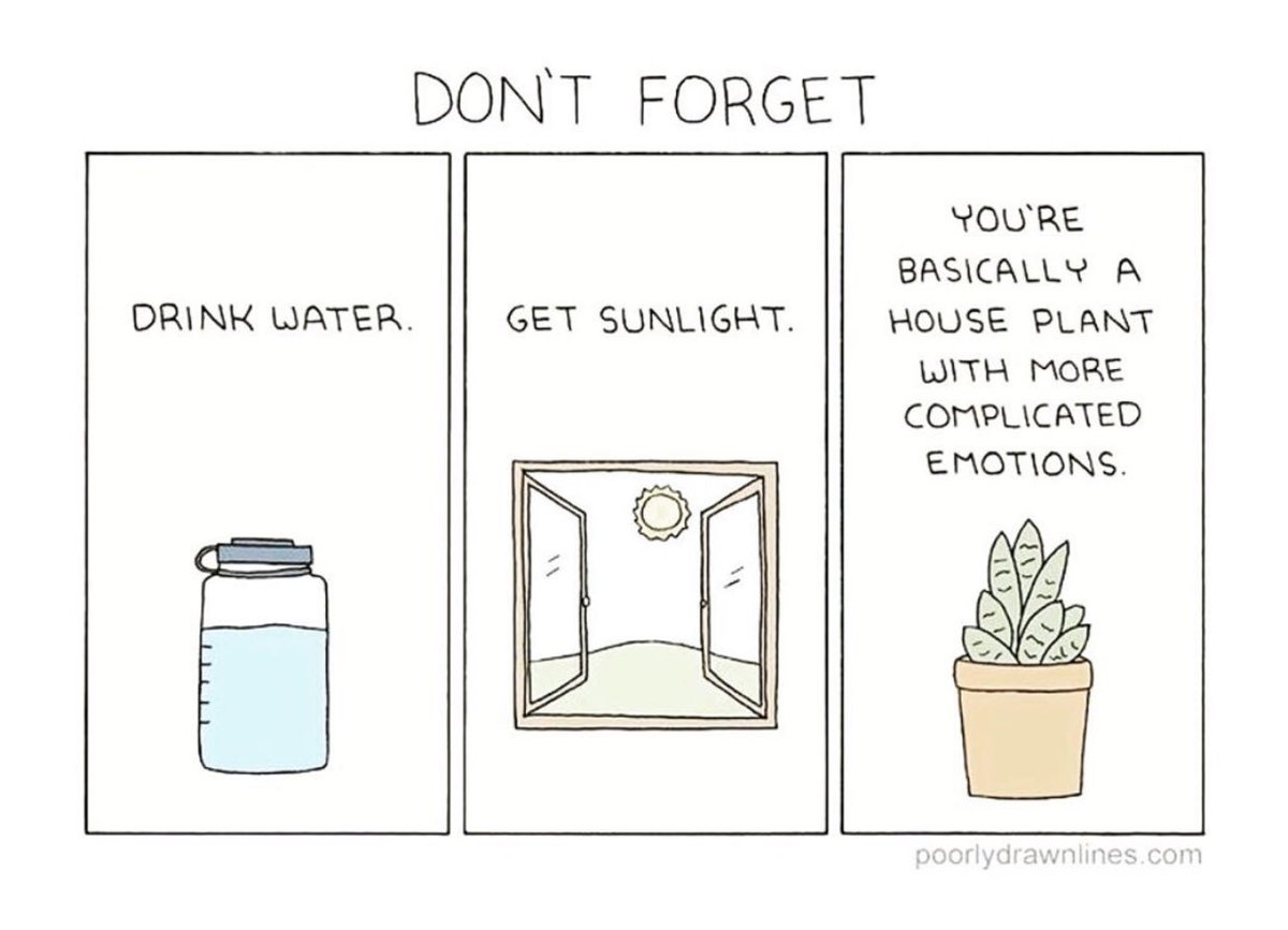 WuestLab's tweet photo. #MondayMorning tips as we start another week of #WFH. Take care of yourself!🌻🌞 https://t.co/zTs6zEvdw2
