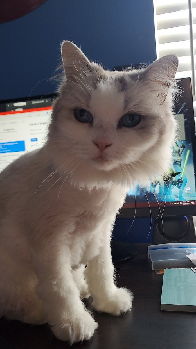 My assistant is helping me finalize Q3 grades and prep for tomorrow! Ready to see you Bulldogs again. #BulldogPride #ZHSOnline