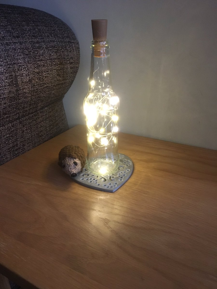 mountain_richc's tweet photo. Evie’s new lamp gets hedgehog’s approval #StCathsathome https://t.co/HG5AyQroVi
