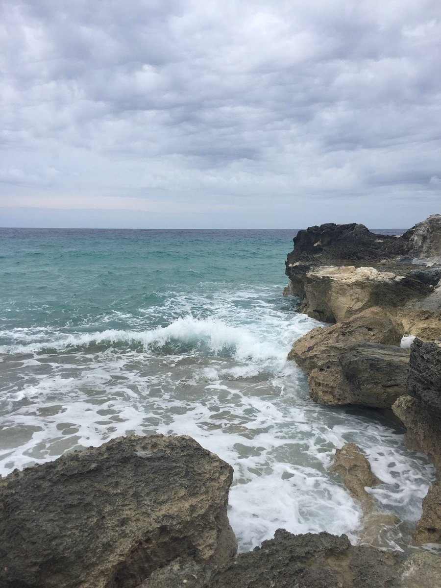 Mel_Scavelli's tweet photo. Man I've been to some beautiful places 😍
Join the challenge of posting a picture of some landscape from a place where you've been!

Just a few of my favorites: Glacier National Park, Yellowstone National Park, and San Salvador Island of the Bahamas https://t.co/1iSWObAc5M