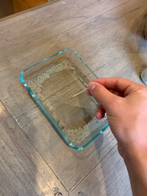 high_hhs's tweet image. Some images from Friday&apos;s at home Soap Film lab.