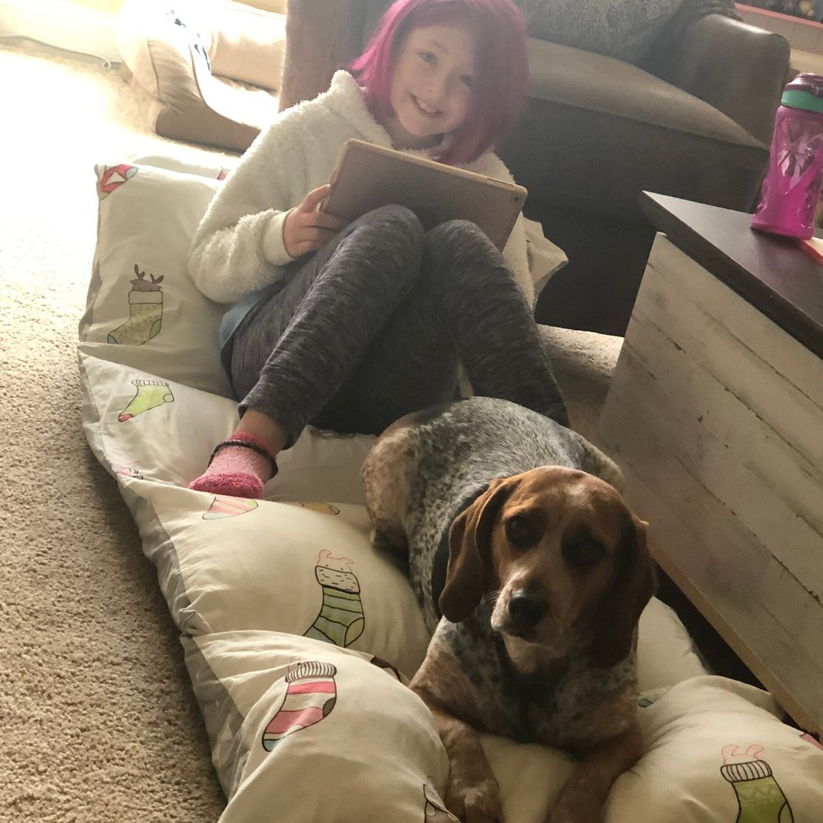 MissCarroll4EL's tweet photo. Happiness is learning with a warm puppy!🐶📚😊❤️
#drydenrocks https://t.co/KGb6Nh4msh