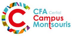 CFA_CMontsouris's tweet photo. 💻 Le recrutement continue même à la maison ! 
➡️ Tu veux devenir commercial(e) ? Choisi un BTS MCO en alternance en 2020 ? Plusieurs offres sont à pourvoir ! 
👉 https://t.co/7zS8oArakp
#apprentissage #formation #alternance #recrutement #restezchezvous https://t.co/ujd0cVBhsl